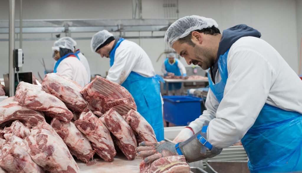 Tek Foods Production Line-1